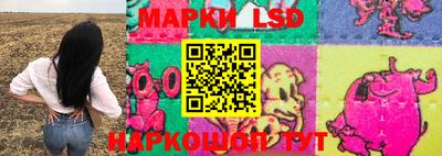 индика Славгород