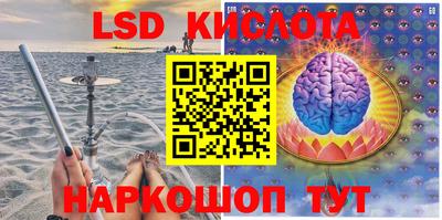 индика Славгород