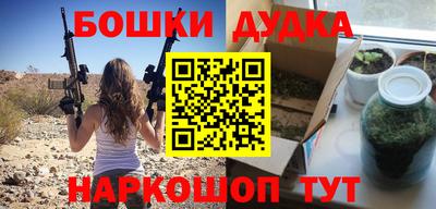 индика Славгород
