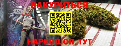 индика Славгород