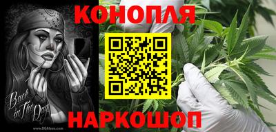 прущие грибы Славянск-на-Кубани