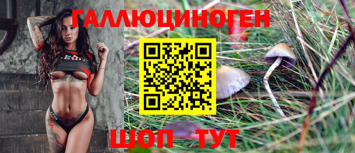 Нягань  Галлюциногенные грибы Psilocybe  где можно купить   Галлюциногенные грибы прущие грибы  Вход с VPN 