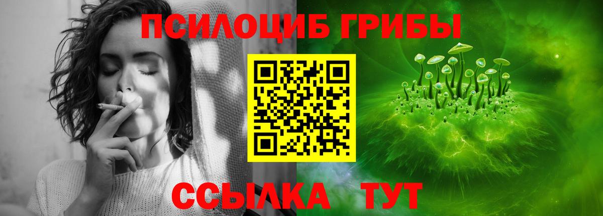 Галлюциногенные грибы Psilocybine cubensis Нягань